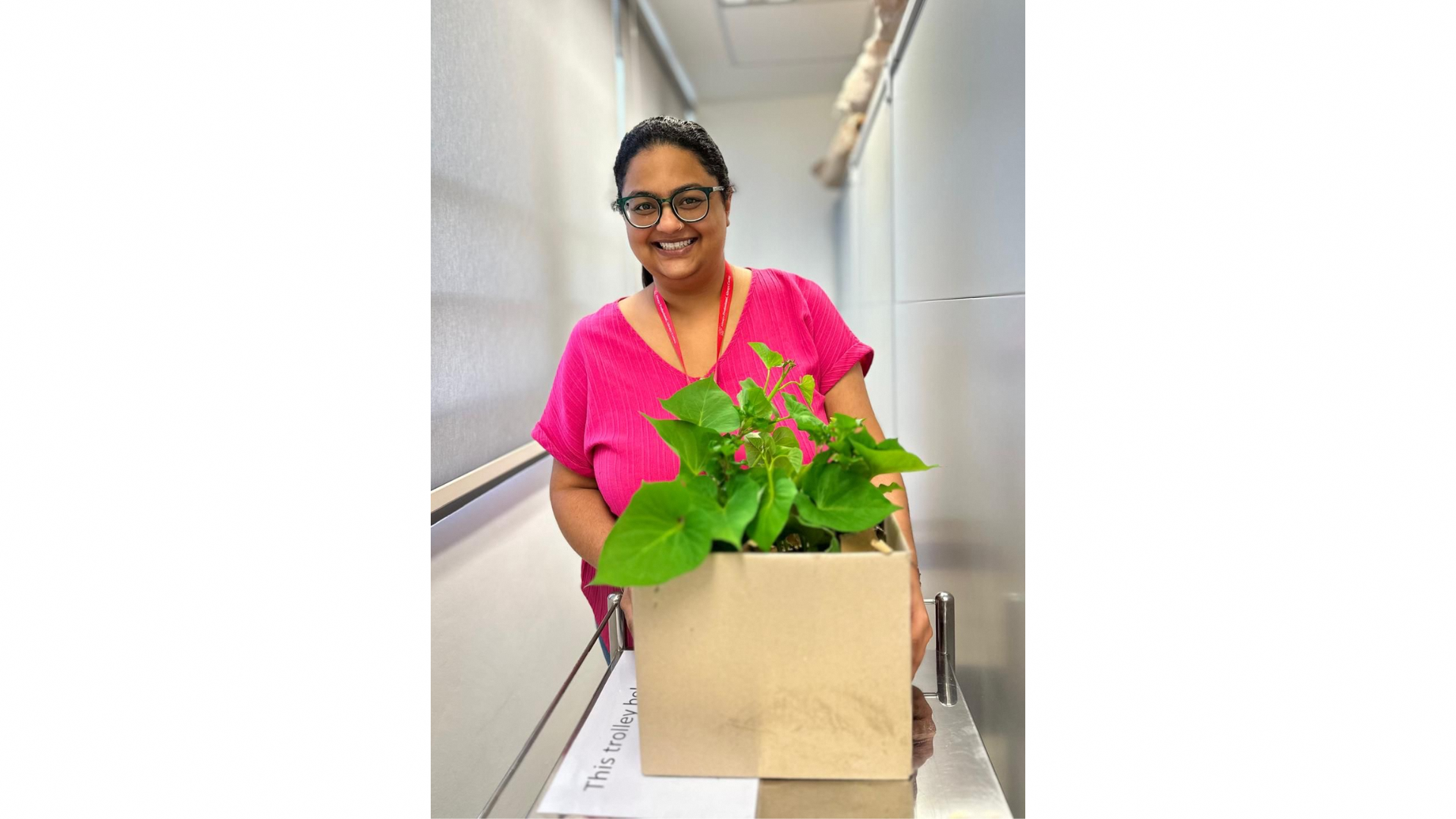 KWSH staff Satvinder Kaur holding the upcycled cardboard boxes growing potato leaves